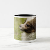 Papillon 2 zweifarbige tasse (Mittel)