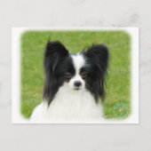 Papillon 9T056D-088 Postkarte (Vorderseite)