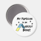 Papillon Agility Dog Magnet (Vorderseite/Rückseite)