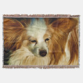 Papillon Beauty - Hundezucht Decke (Vorderseite)