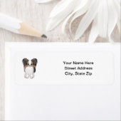 Papillon (Bild) (Insitu)