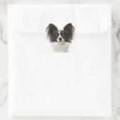 Papillon Black and White Puppy Dog - Liebe Welpen Quadratischer Aufkleber (Tasche)