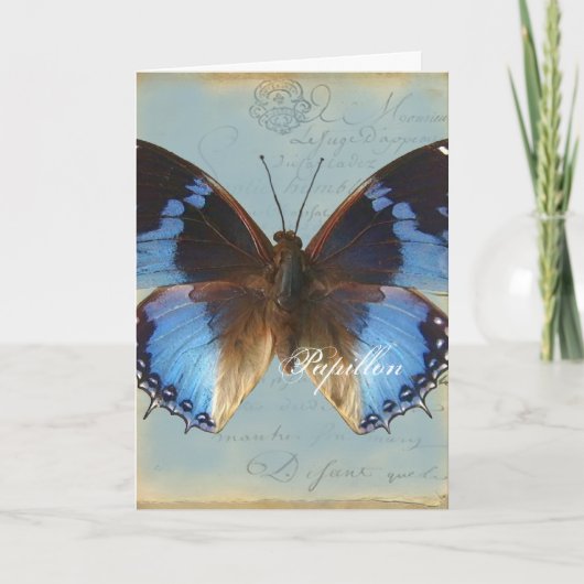 Papillon Blau Karte (Vorderseite)