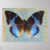 Papillon bleu poster (Vorne)
