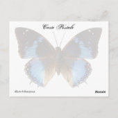 Papillon bleu postkarte (Rückseite)