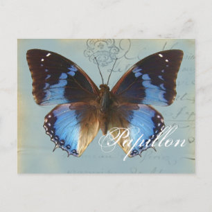 Papillon bleu postkarte