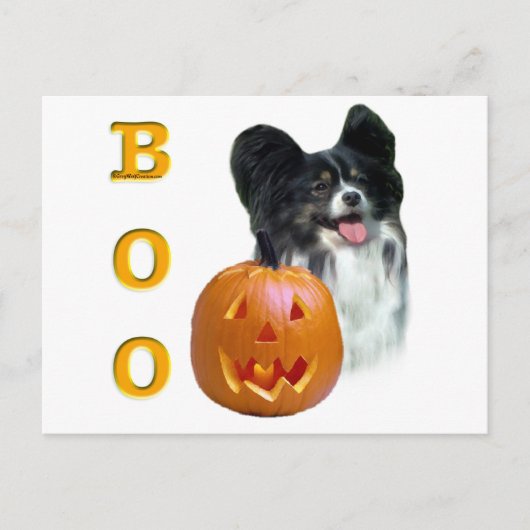Papillon Boo Postkarte (Vorderseite)