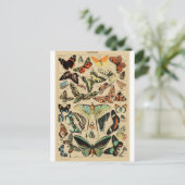 Papillon Butterfly Wings Vintage Postcard Postkarte (Stehend Vorderseite)