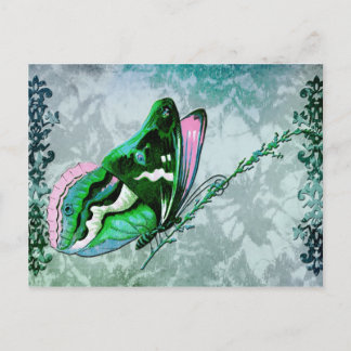 PAPILLON COLORÉ in AQUAMARINER BLAU, GRÜNE UND PIN Postkarte