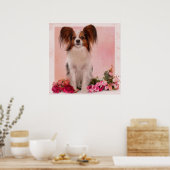 Papillon - Continental Toy Spaniel Poster (Küche)