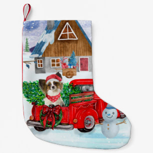 Papillon Dog in Christmas Delivery LKW Schnee Kleiner Weihnachtsstrumpf
