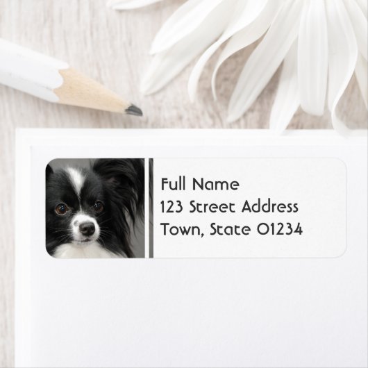 Papillon Dog Mailing Labels (Insitu)