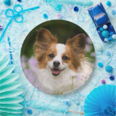 Papillon Dog Niedlich Romantisches Portrait Foto - Pappteller (Party)