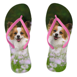 Papillon Dog Niedlich Romantisches Portrait Pet Fo Badesandalen