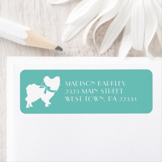 Papillon Dog Puppy (Insitu)