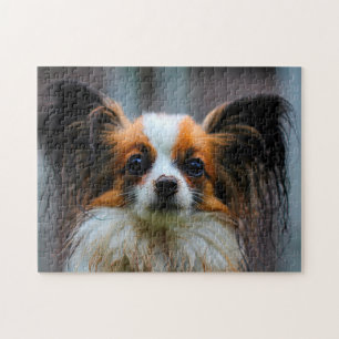 Papillon Dog. Puzzle
