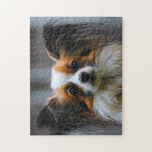 Papillon Dog. Puzzle (Vertikal)