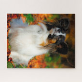 Papillon Dog. Puzzle (Horizontal)