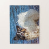 Papillon Dog. Puzzle (Vertikal)