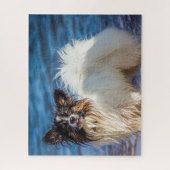 Papillon Dog. Puzzle (Vertikal)
