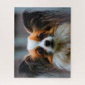 Papillon Dog. Puzzle (Vertikal)