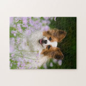 Papillon Dog Romantisches Portrait Game 11x14 Puzzle (Horizontal)