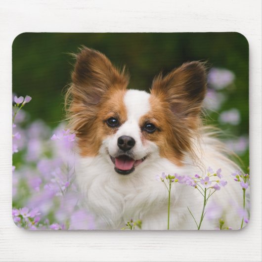 Papillon Dog Romantisches Portrait Mousepad (Vorne)