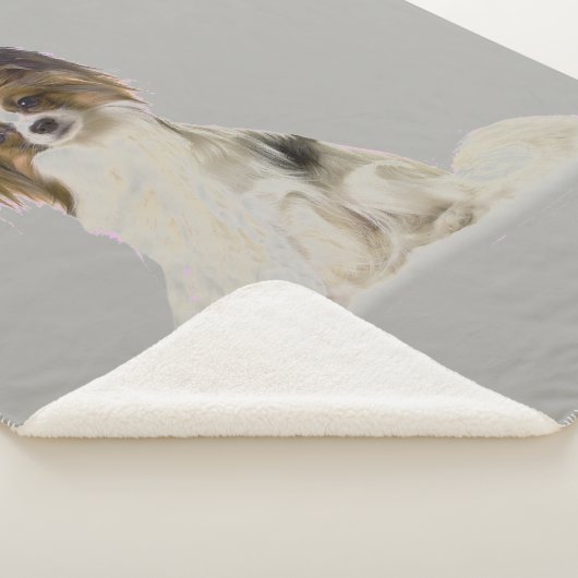 Papillon Dog Sherpadecke (3/4)