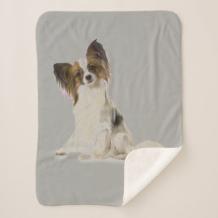 Papillon Dog Sherpadecke