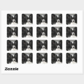 Papillon Dog Stickers (Blatt)