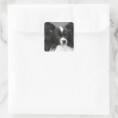 Papillon Dog Stickers (Tasche)