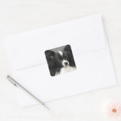 Papillon Dog Stickers (Umschlag)