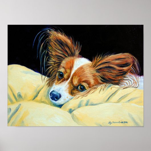 Papillon Dog Wall Print Poster (Vorne)