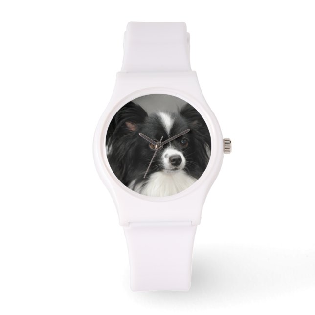 Papillon Dogs Armbanduhr (Vorderseite)