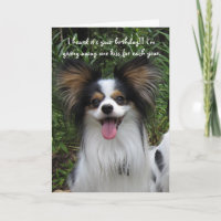 Papillon Du bist wie alt Geburtstagskarte