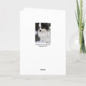 Papillon du fehlst mir Karte (Rückseite)