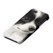 papillon Fall iPhone Hülle (Unterseite)