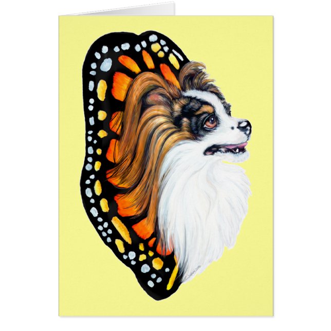 Papillon Fantasy Wings (Vorne)
