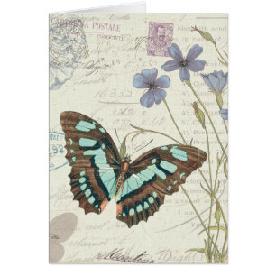 Papillon Geschichten