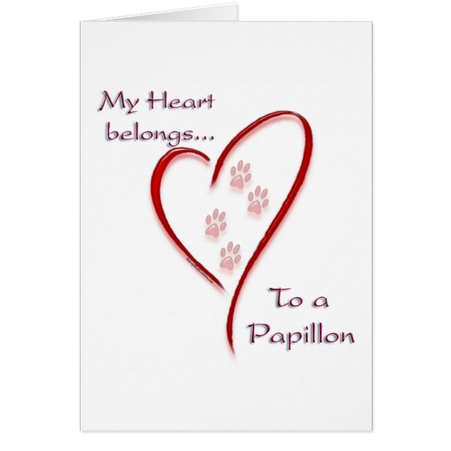 Papillon Heart Belongs (Vorne)