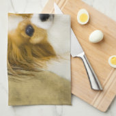 Papillon (Hound Tri) Malerei - Original Hundeschul Handtuch (Viertel Falte)