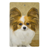 Papillon (Hound Tri) Malerei - Original Hundeschul Mini Klemmbrett (Rückseite)