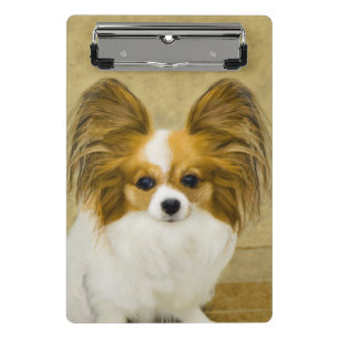 Papillon (Hound Tri) Malerei - Original Hundeschul Mini Klemmbrett