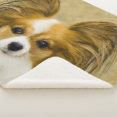 Papillon (Hound Tri) Malerei - Original Hundeschul Sherpadecke (3/4)