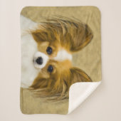 Papillon (Hound Tri) Malerei - Original Hundeschul Sherpadecke (Vorderseite)