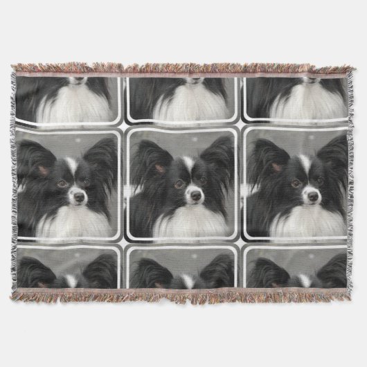 Papillon Hund Decke (Vorderseite)