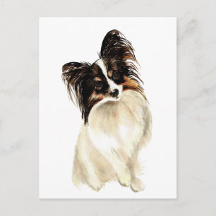 Papillon-Hund, Haustier Postkarte