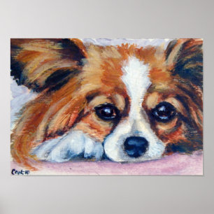 Papillon Hund Print Poster