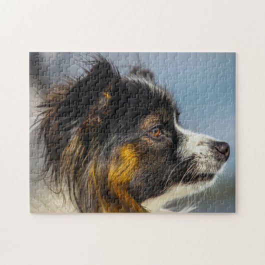 Papillon-Hund Puzzle (Horizontal)