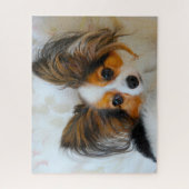 Papillon-Hund. Puzzle (Vertikal)